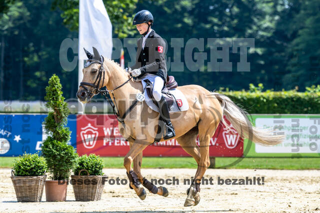 Goldene Schärpe 2021 - Ponys