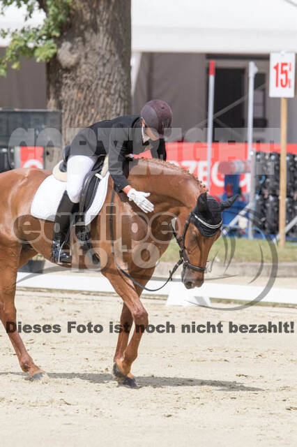 FEI European Championship Eventing 2017