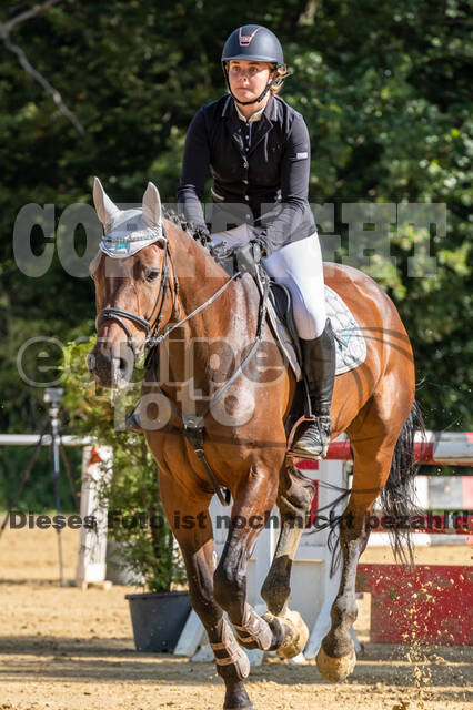 RFV Dinslaken-Hiesfeld (Herbstturnier)