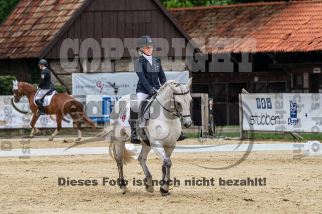 Goldene Schärpe 2021 - Ponys