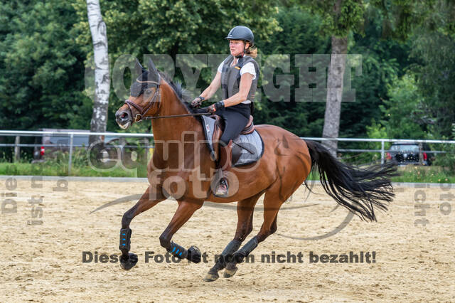 Hunter Geländetraining 10.07.2021 (Sonsbeck)