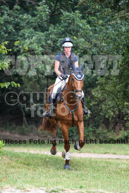 Late-Entry-Vielseitigkeit Langenfeld (11.+13./14.06.2020)