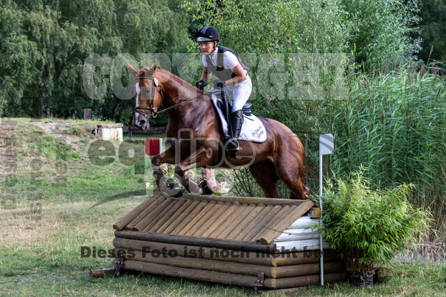 Late-Entry Vielseitigkeit Hamminkeln/Wesel (01.+02.08.2020)