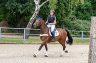 Late-Entry-Vielseitigkeit Langenfeld (11.+13./14.06.2020)