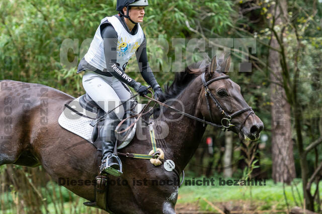 Vielseitigkeit RSV Wesel Obrighoven (26.+27.09.2020)
