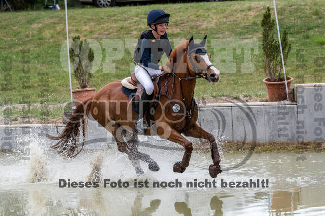 Late-Entry-Vielseitigkeit Langenfeld (11.+13./14.06.2020)