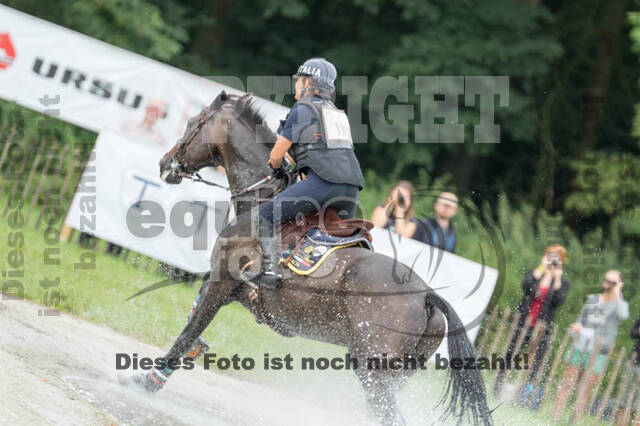 FEI European Championship