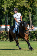 Kronenberg - De Peelbergen (August 2020)