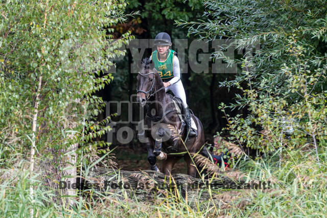 Vielseitigkeit RSV Wesel Obrighoven (26.+27.09.2020)