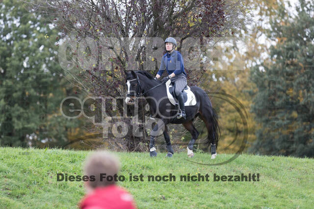 IGV Lehrgang der Sieger der Cups mit Frank Ostholt
