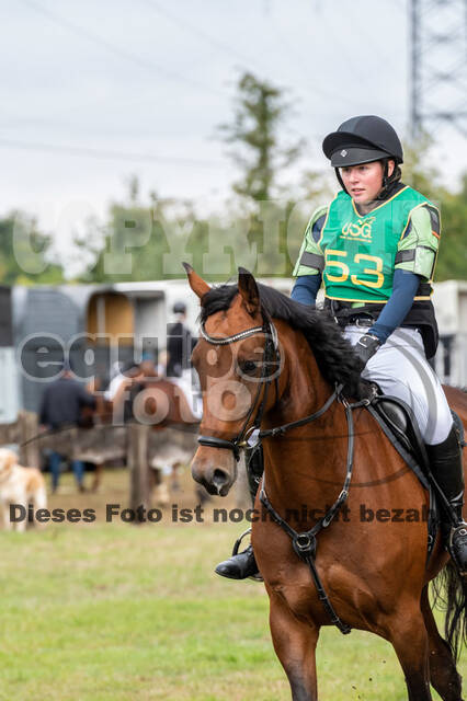 Vielseitigkeit RSV Wesel Obrighoven (26.+27.09.2020)