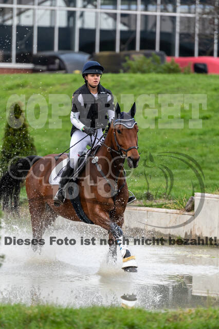 Goldene Schärpe 2020 - Pferde