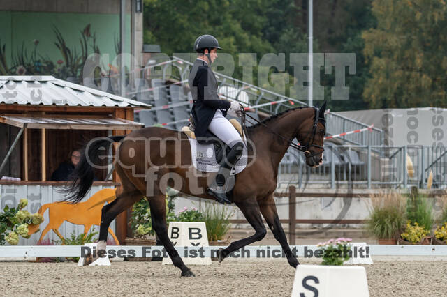 Deutsche Meisterschaft Vielseitigkeit (Luhmühlen)