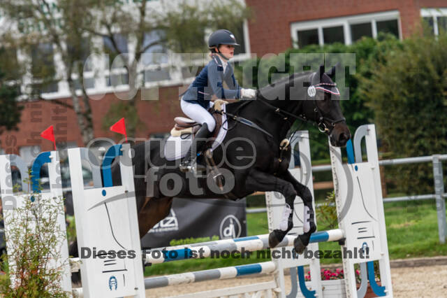 Reiter Schleswig-Holstein