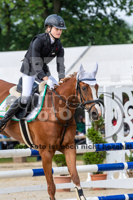 Goldene Schärpe 2021 - Ponys