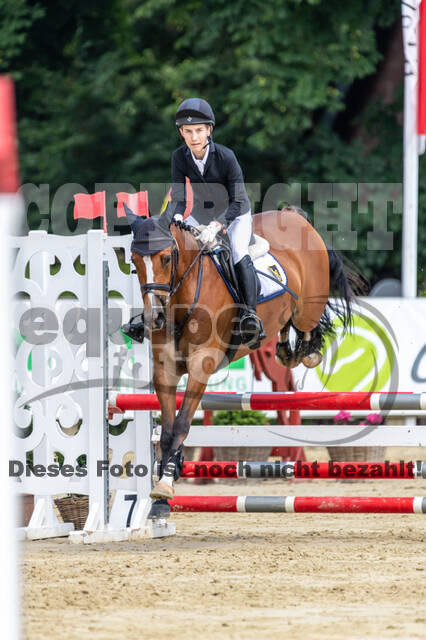 Goldene Schärpe 2021 - Ponys