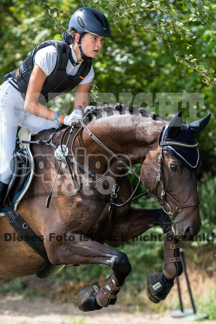 Late-Entry-Vielseitigkeit Langenfeld (06.+07.07.2020)