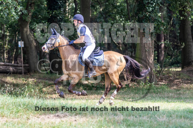 Late-Entry Vielseitigkeit Hamminkeln/Wesel (01.+02.08.2020)