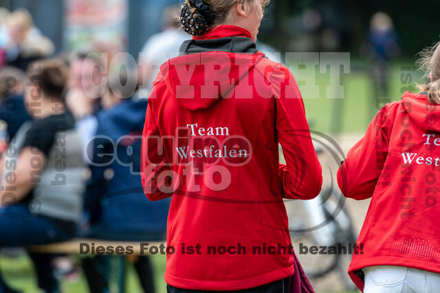 Goldene Schärpe 2021 - Ponys