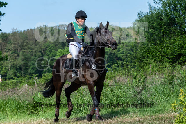 Westerstede Horse Trials (10.-13.06.2021)