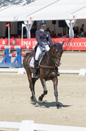 FEI European Championship