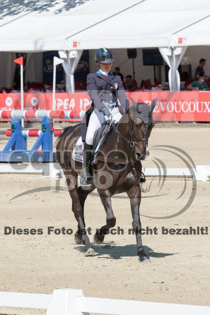 FEI European Championship