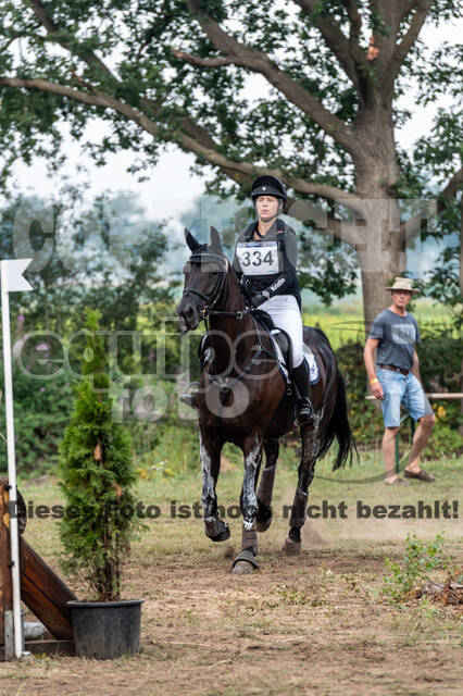 De Peelbergen (August 2020)