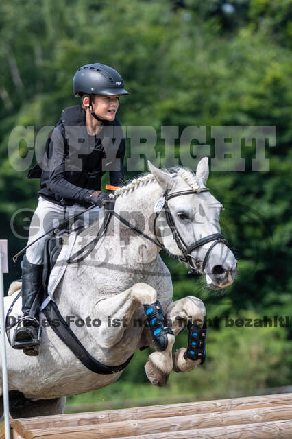 Goldene Schärpe 2021 - Ponys