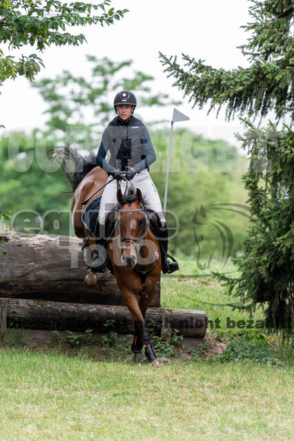 Late-Entry-Vielseitigkeit Langenfeld (11.+13./14.06.2020)