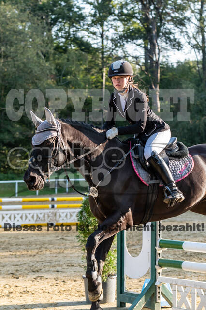 RFV Dinslaken-Hiesfeld (Herbstturnier)