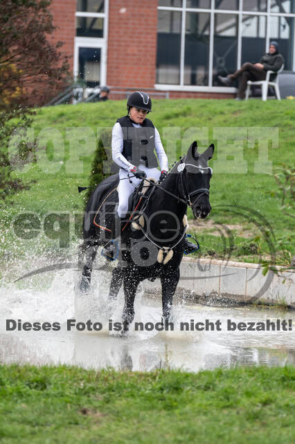 Goldene Schärpe 2020 - Pferde