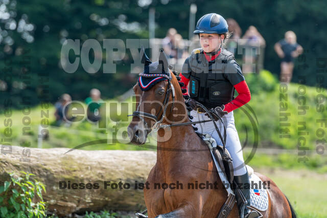 Goldene Schärpe 2021 - Ponys