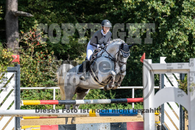 RFV Dinslaken-Hiesfeld (Herbstturnier)
