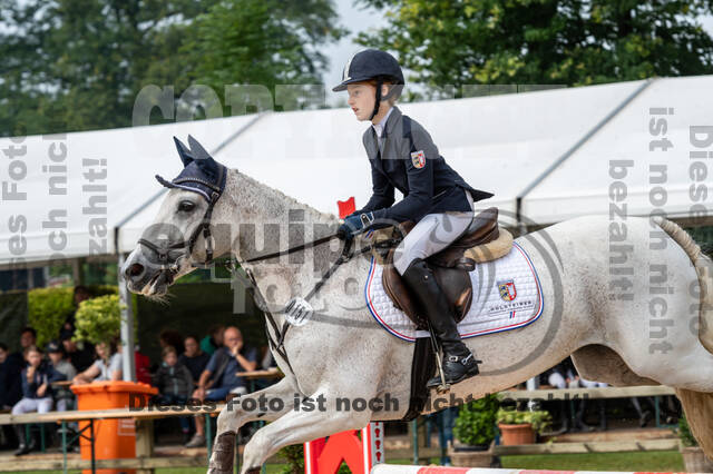 Goldene Schärpe 2021 - Ponys