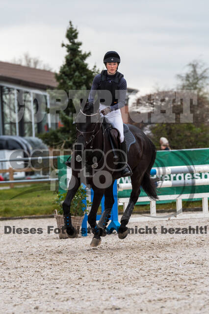 Eventing im Pferdesportzentrum Rheinland (Late Entry 14.03.2022)