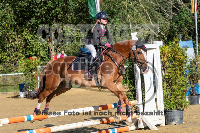 RFV Dinslaken-Hiesfeld (Herbstturnier)