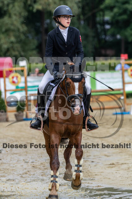 Goldene Schärpe 2021 - Ponys