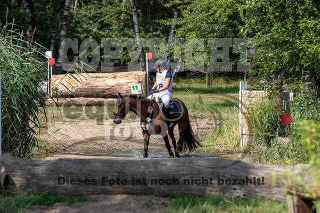 Late-Entry Vielseitigkeit Hamminkeln/Wesel (01.+02.08.2020)