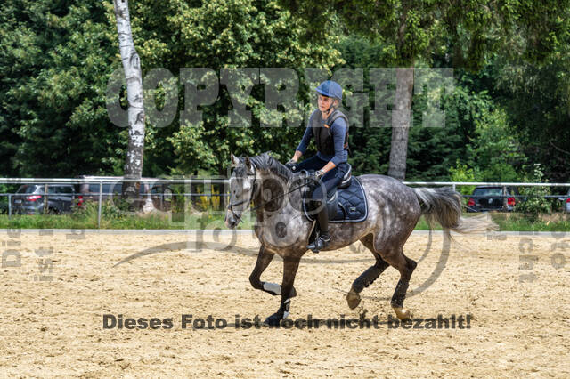 Hunter Geländetraining 10.07.2021 (Sonsbeck)