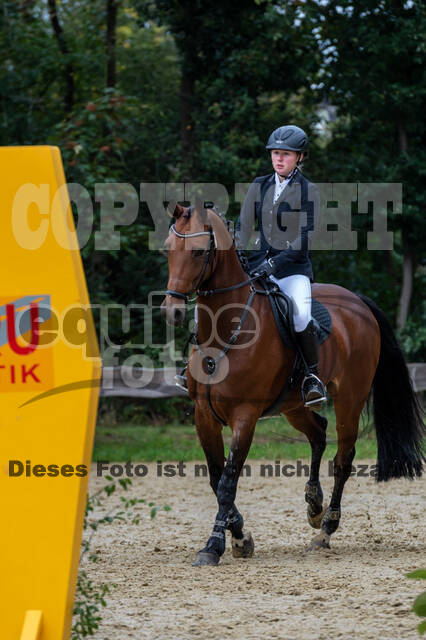 Vielseitigkeit RSV Wesel Obrighoven (26.+27.09.2020)