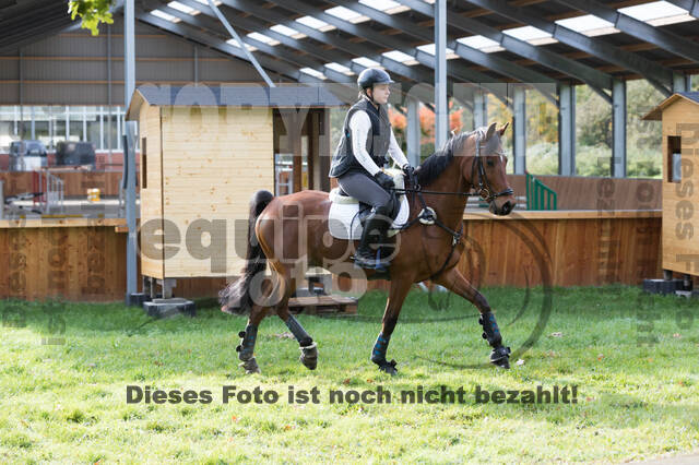 IGV Lehrgang der Sieger der Cups mit Frank Ostholt