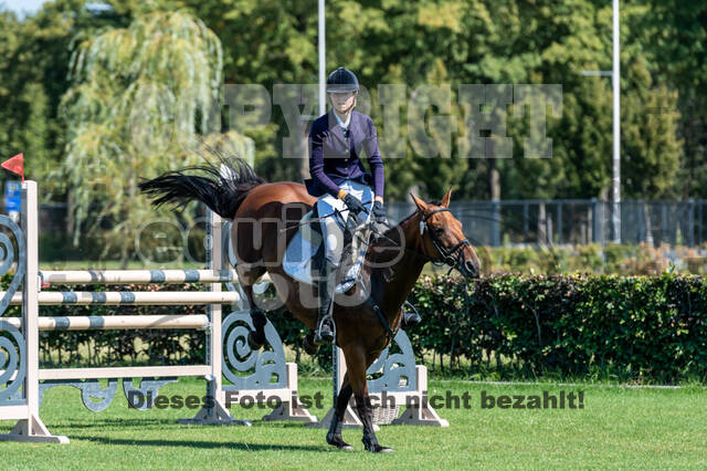 Kronenberg - De Peelbergen (August 2020)