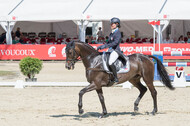 FEI European Championship