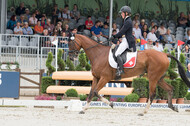 FEI European Championship Eventing 2019