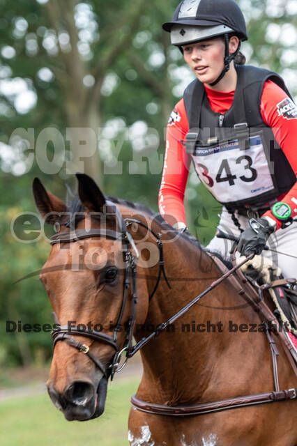 De Peelbergen (August 2020)