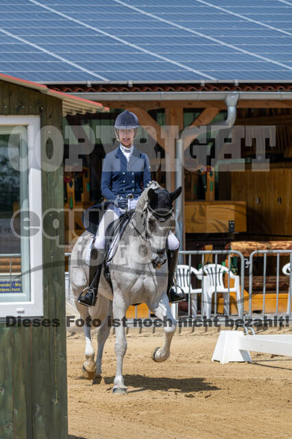 Westerstede Horse Trials 2021