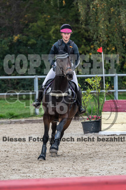 Goldene Schärpe 2020 - Pferde