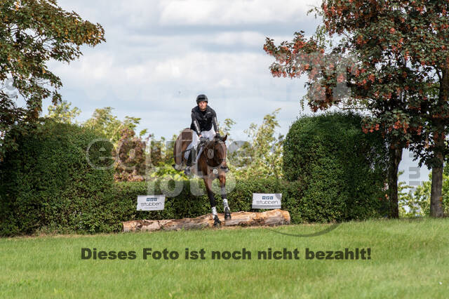 Bonn-Rodderberg Late-Entry-Vielseitigkeit (30.06.2020)