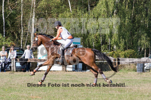 Vielseitigkeitsturnier RSV St. Hubertus Wesel Obrighoven