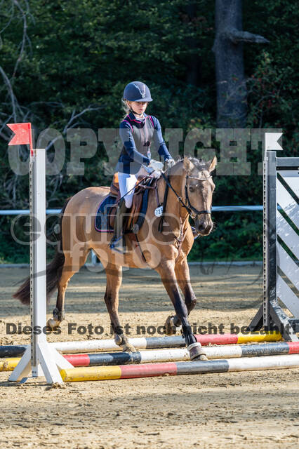 RFV Dinslaken-Hiesfeld (Herbstturnier)